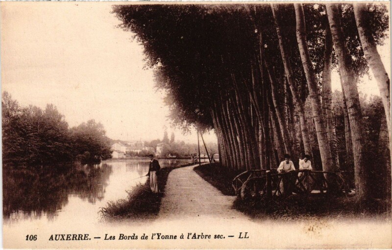 Carte postale ancienne Auxerre Les bords de l'Yonne à Auxerre