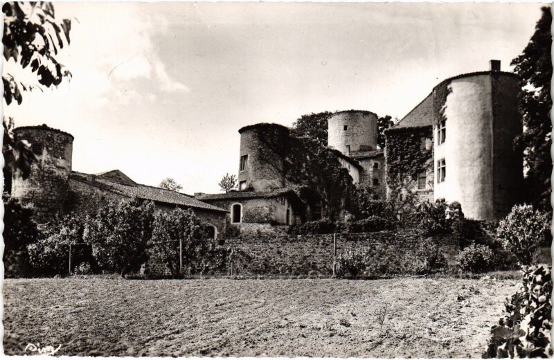 Carte postale ancienne Noirétable Chateau de la Merlée à Noirétable