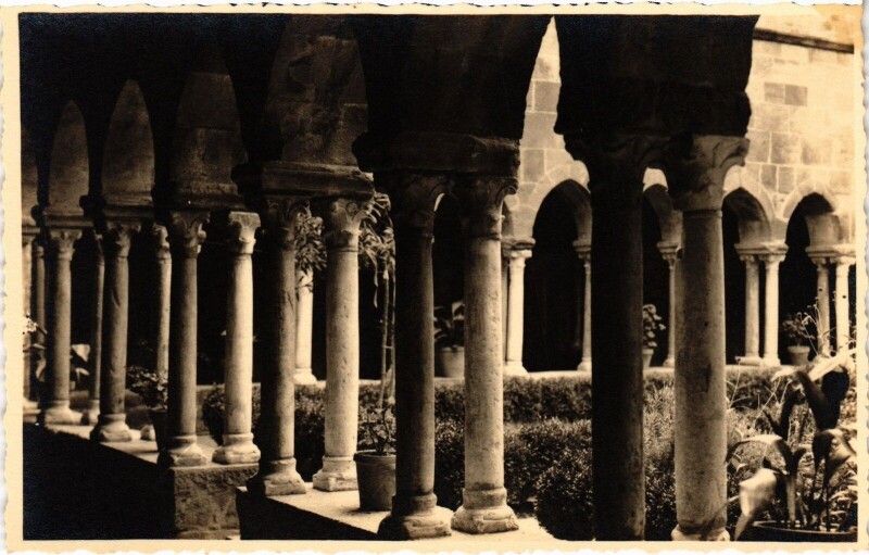 Carte postale ancienne Cote d'Azur Fréjus Dans le Cloitre carte photo
