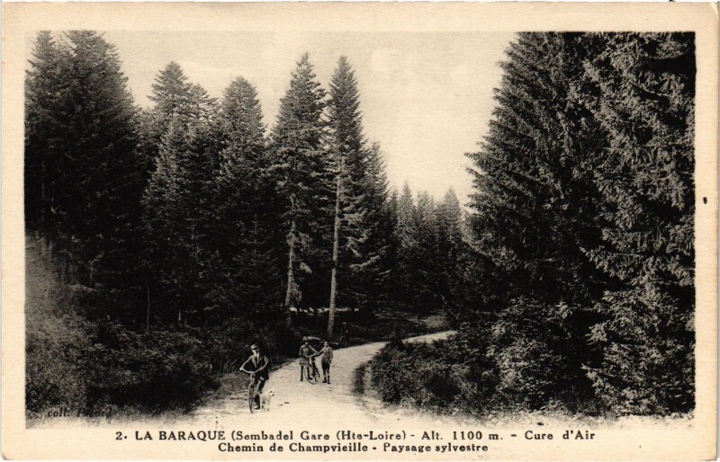Carte postale ancienne La Baraque Chemin de Champvieille Paysage