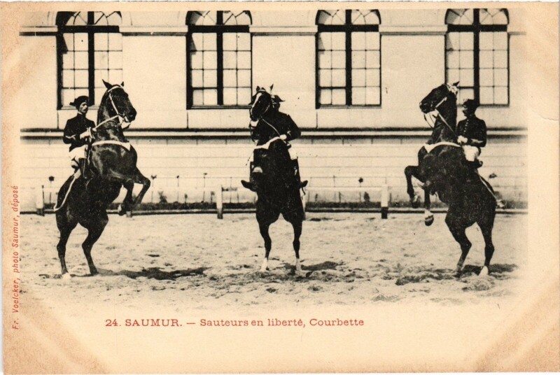 Carte postale ancienne Saumur sauteur en Liberté Courbette à Saumur