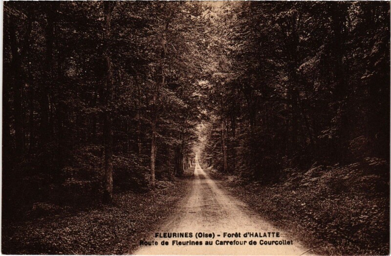 Carte postale ancienne Fleurines Foret d'Halatte Route de Fleurines à Fleurines