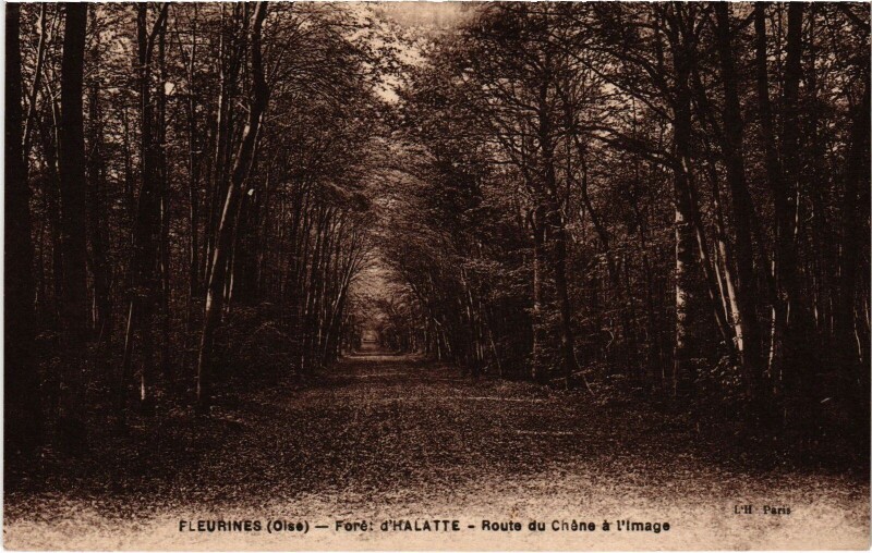 Carte postale ancienne Fleurines Foret d'Halatte Route du Chene à Fleurines