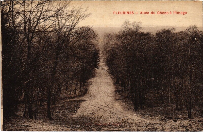 Carte postale ancienne Fleurines Allée du Chene a l'Image à Fleurines