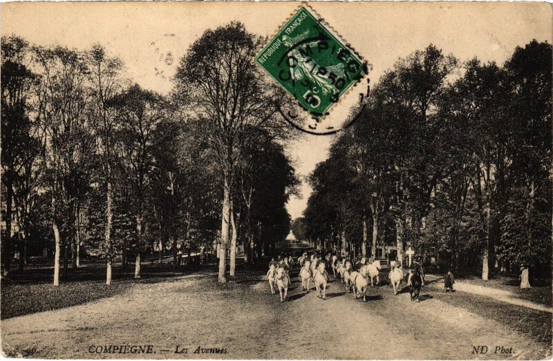 Carte postale ancienne Compiegne Les Avenues