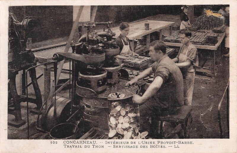 Carte postale ancienne Concarneau - Interieur De L'Usine Provost Barbe - Travail Du Thon - Serti à Concarneau