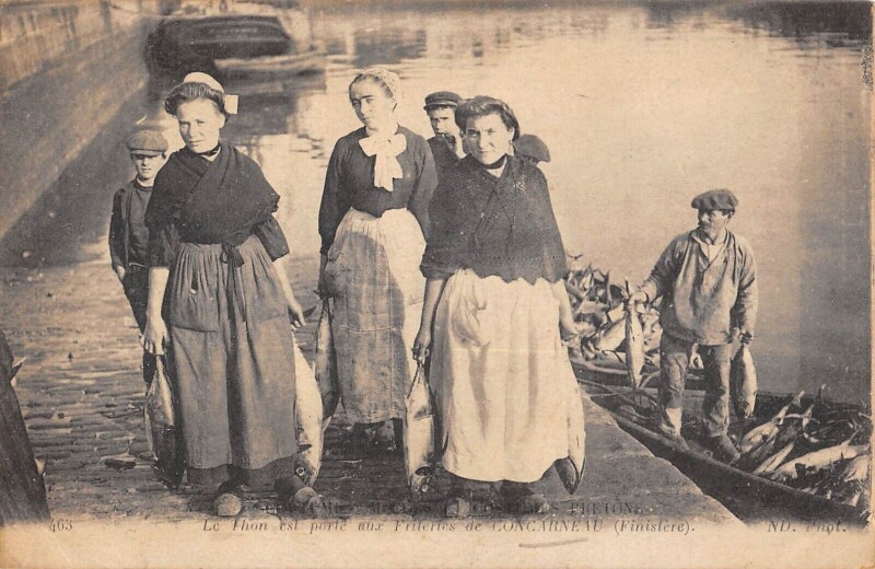 Carte postale ancienne Le Thon Est Porte Aux Friteries De Concarneau à Concarneau