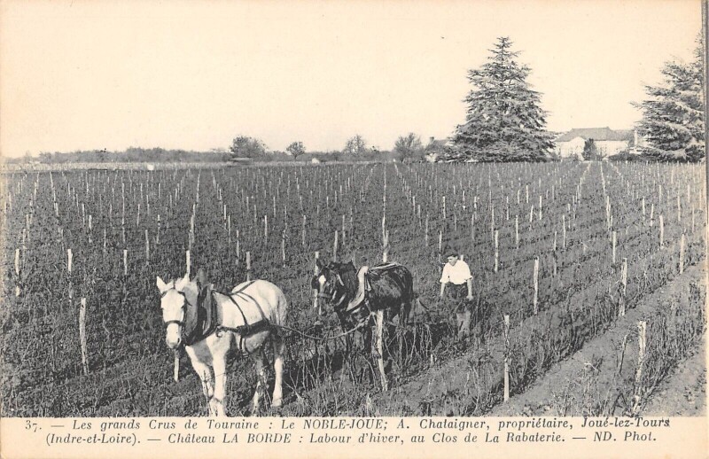 Carte postale ancienne La Noble Joue / A.chataigner Proprietaire / Joue Lez Tours / Chateau La B à Tours