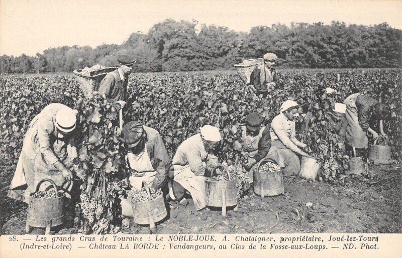 Carte postale ancienne La Noble Joue - A.chataigner Proprietaire - Joue Lez Tours - Chateau La B à Tours