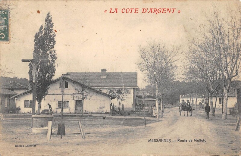 Carte postale ancienne Messanges / Route De Mollets / cliché rare à Messanges