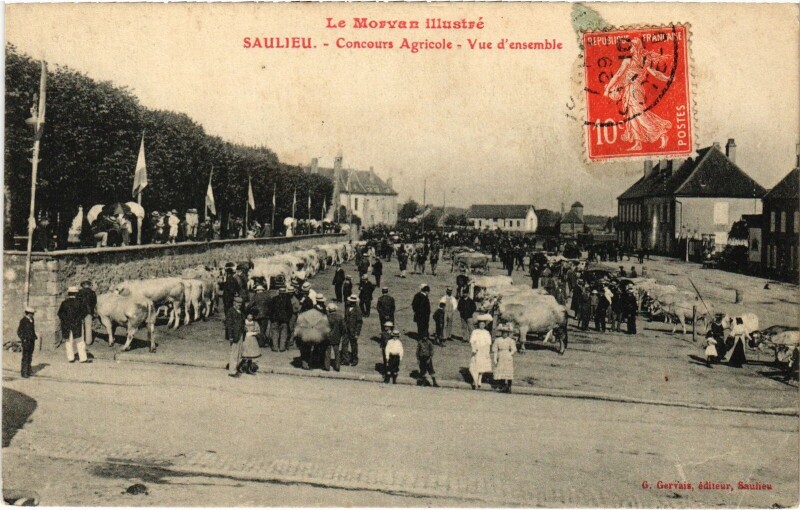 Carte postale ancienne Saulieu Concours Agricole-Vue d'ensemble France à Saulieu