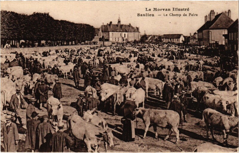 Carte postale ancienne Saulieu Le Champ de Foire France à Saulieu