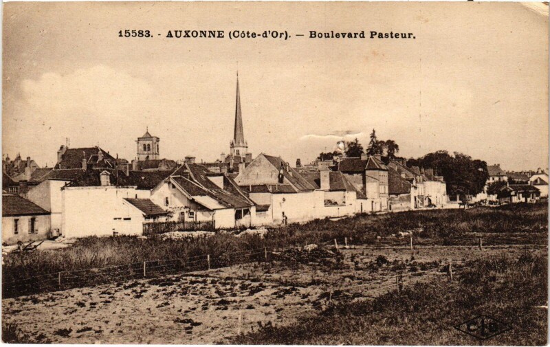 Carte postale ancienne Auxonne Boulevard Pasteur France à Auxonne