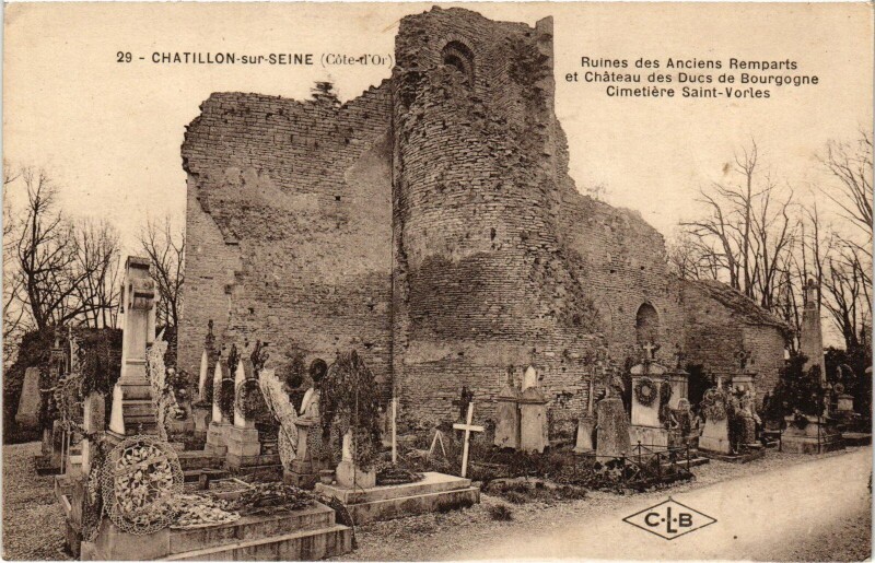 Carte postale ancienne Chatillon s Seine Ruines des anciens Remparts et Chateau France