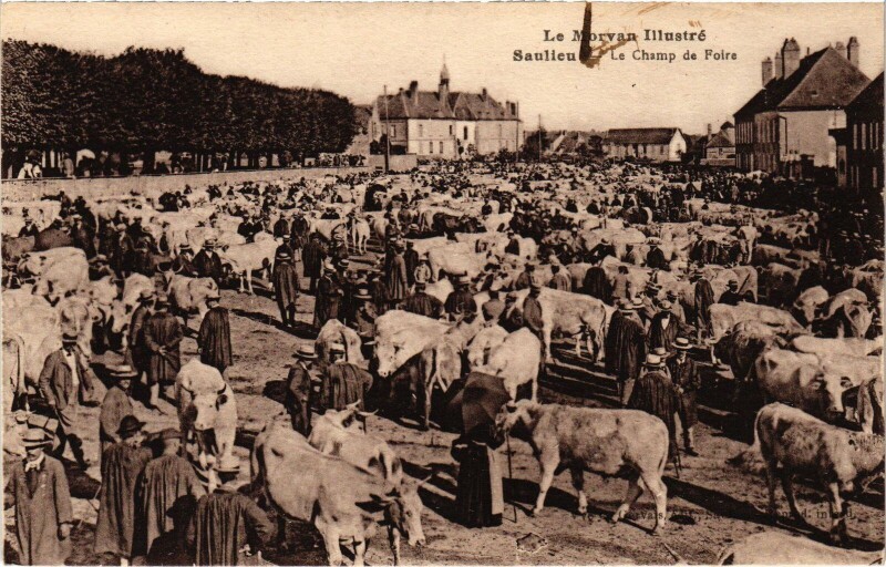 Carte postale ancienne Saulieu Le Champ de Foire France à Saulieu