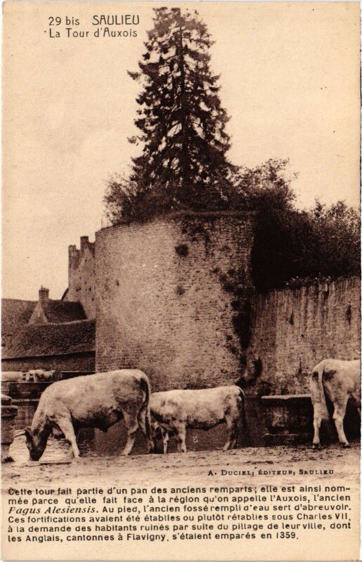 Carte postale ancienne Saulieu La Tour d'Auxois France à Saulieu