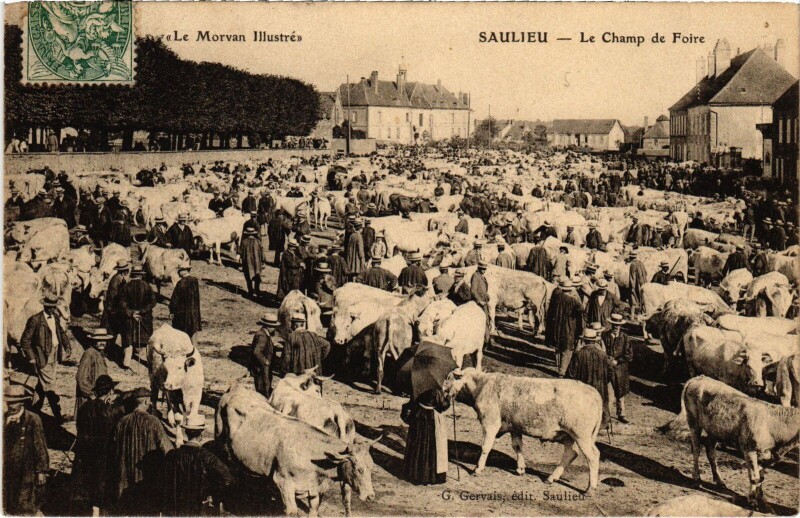 Carte postale ancienne Saulieu Le Champ de Foire France à Saulieu
