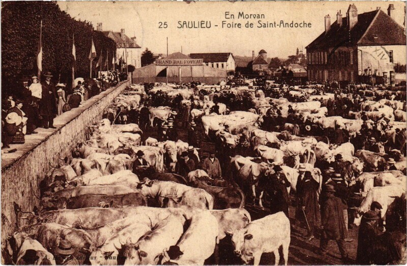 Carte postale ancienne Saulieu Foire de Saint-Andoche France à Saulieu