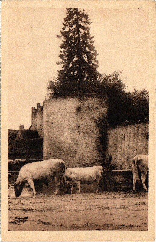 Carte postale ancienne Saulieu La Tour d'Auxois France à Saulieu