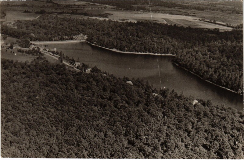 Carte postale ancienne Pont-et-Massene Route d'Allerey et les Nouvelles Villas France à Allerey