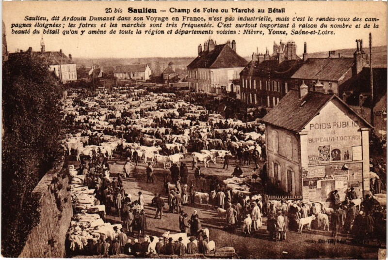 Carte postale ancienne Saulieu Champ de Foire ou Marche au Betail France à Saulieu