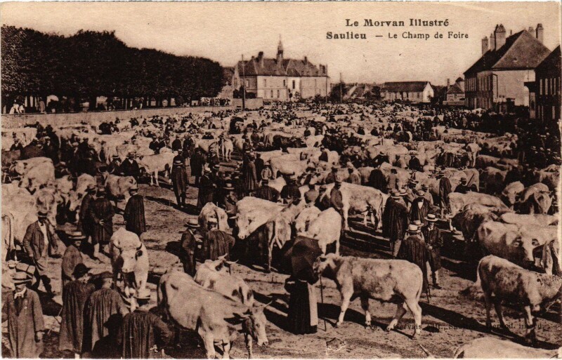 Carte postale ancienne Saulieu Le Champ de Foire France à Saulieu