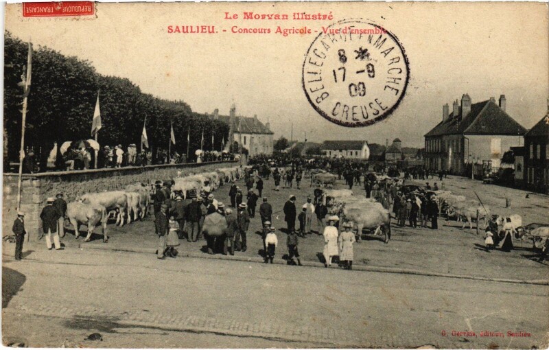 Carte postale ancienne Saulieu Concours Agricole-Vue d'ensemble France à Saulieu