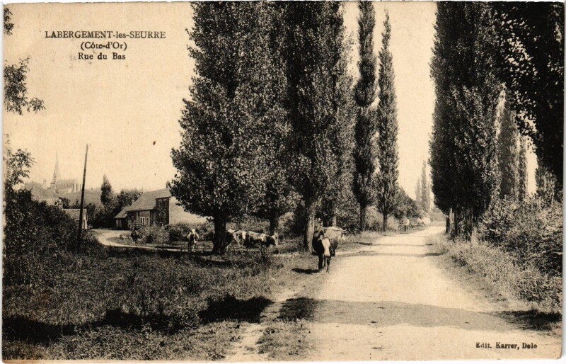 Carte postale ancienne Labergement-les-Seurre Rue du Bas France à Seurre
