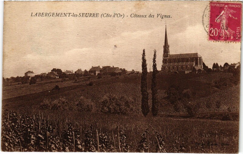 Carte postale ancienne Labergement-les-Seurre Coteaux des Vignes France à Seurre