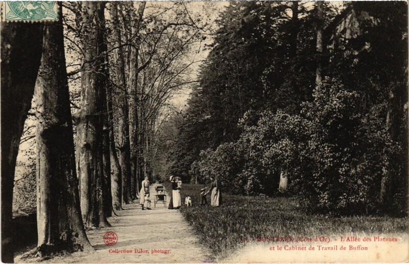 Carte postale ancienne Montbard L'Allee des Platanes et le Cabinet France à Montbard