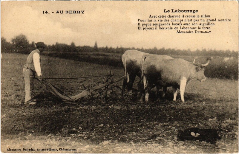 Carte postale ancienne Au Berry Le Labourage