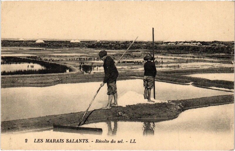 Carte postale ancienne Las Marais salants récolte du sel