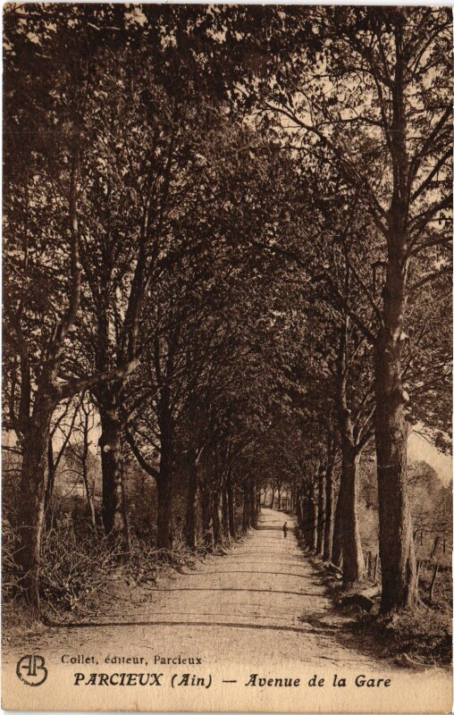 Carte postale ancienne Parcieux Avenue de la Gare à Parcieux