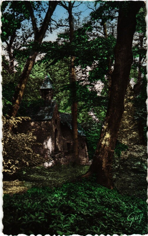 Carte postale ancienne Rambouillet et ses Merveilles - L'Ermitage et la Foret à Rambouillet