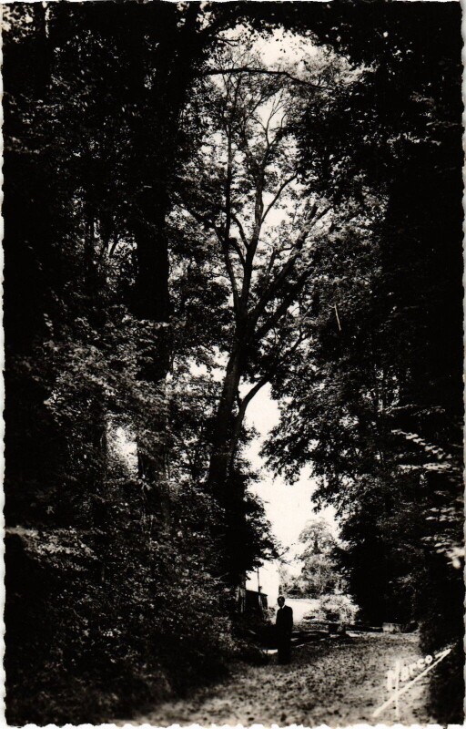 Carte postale ancienne Mantes-la-Jolie Ses Belles Promenades à Mantes-la-Jolie