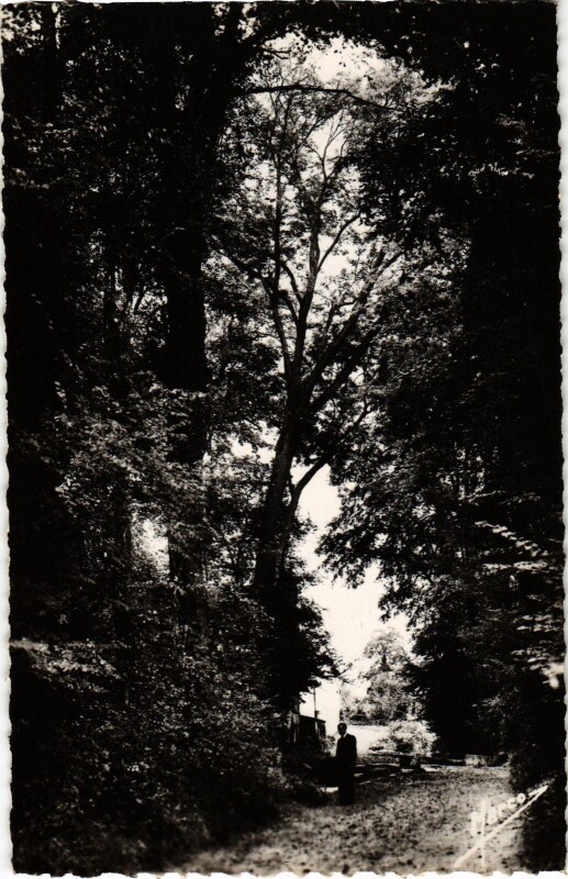 Carte postale ancienne Mantes-la-Jolie Ses Belles Promenades à Mantes-la-Jolie