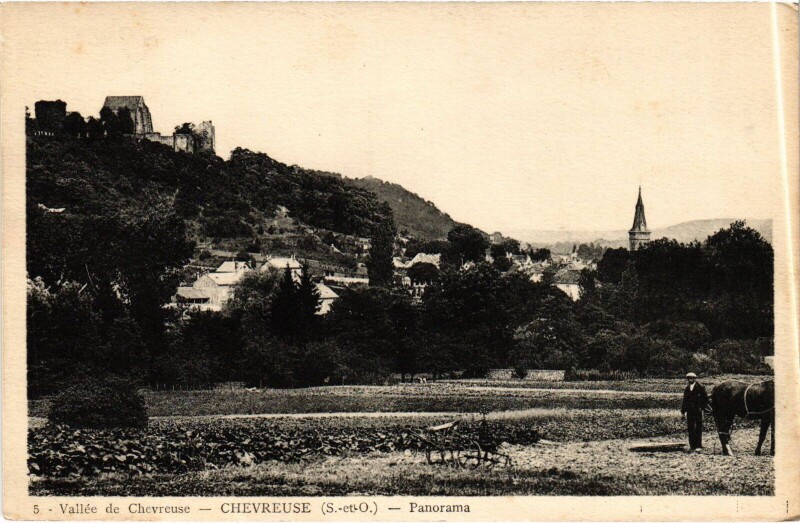 Carte postale ancienne Chevreuse Panorama à Chevreuse