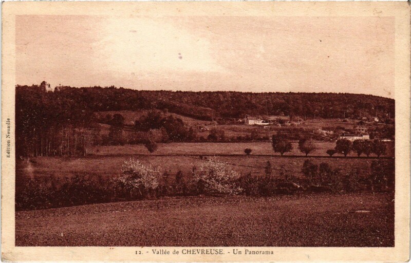 Carte postale ancienne Vallee de Chevreuse - Un Panorama à Chevreuse
