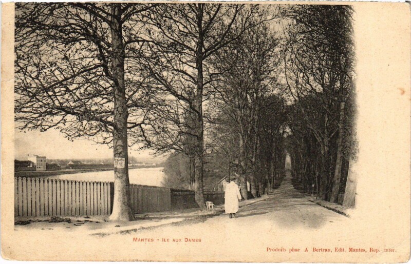 Carte postale ancienne Mantes-la-Jolie Ile aux Dames à Mantes-la-Jolie