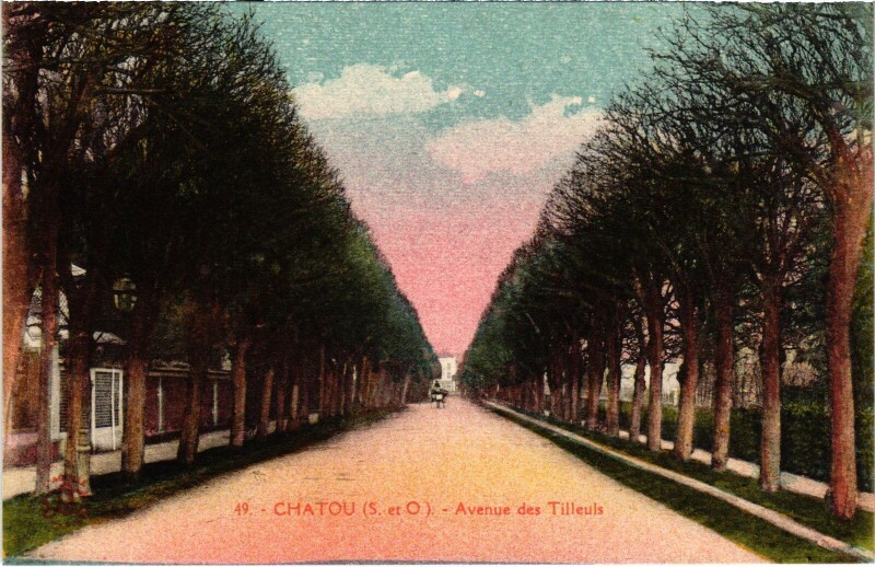 Carte postale ancienne Chatou Avenue des Tilleuls à Chatou