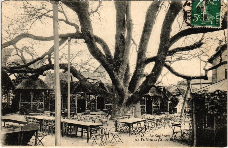 Carte postale ancienne Villennes-sur-Seine Le Sophore de Villennes à Villennes-sur-Seine