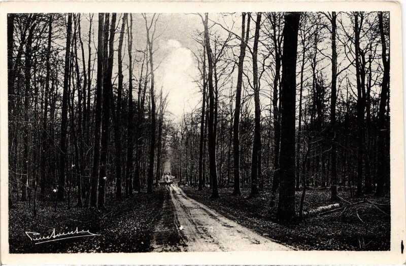 Carte postale ancienne Foret de Compiegne