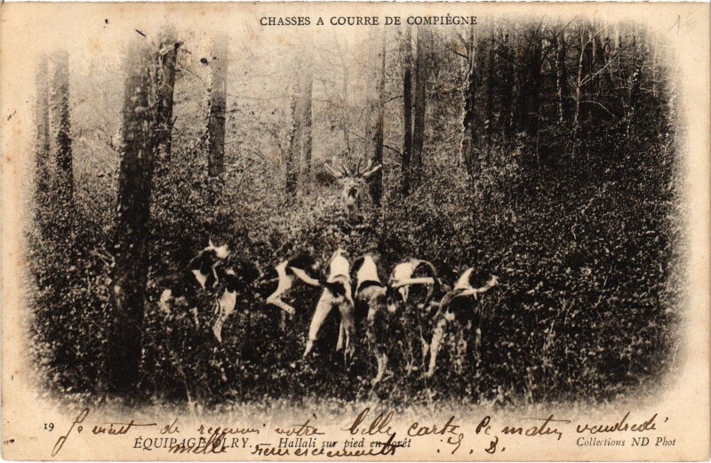 Carte postale ancienne Chasse a courre de Compiegne Equipage d'Orly Hallali