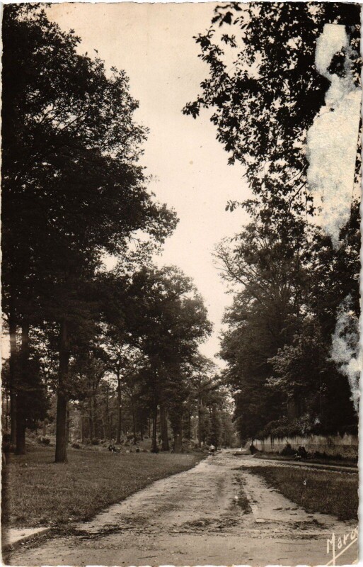 Carte postale ancienne Viroflay L'Oree du Bois à Viroflay