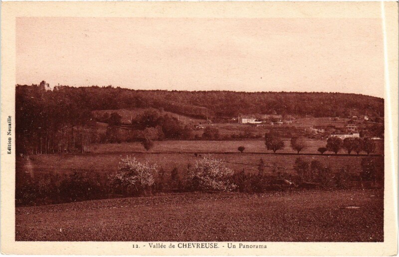 Carte postale ancienne Vallee de Chevreuse - Un Panorama à Chevreuse