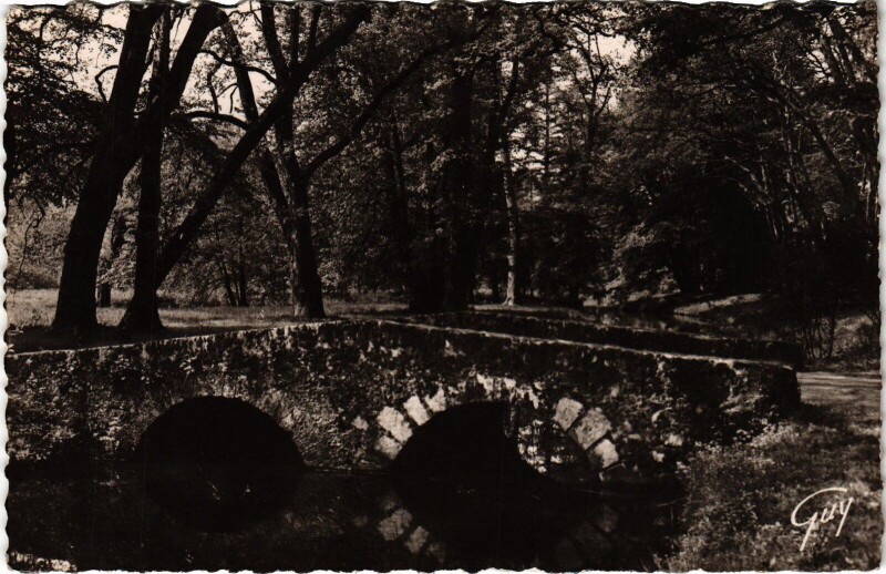 Carte postale ancienne Rambouillet et ses Merveilles - Un Vieux Pont dans la Foret à Rambouillet