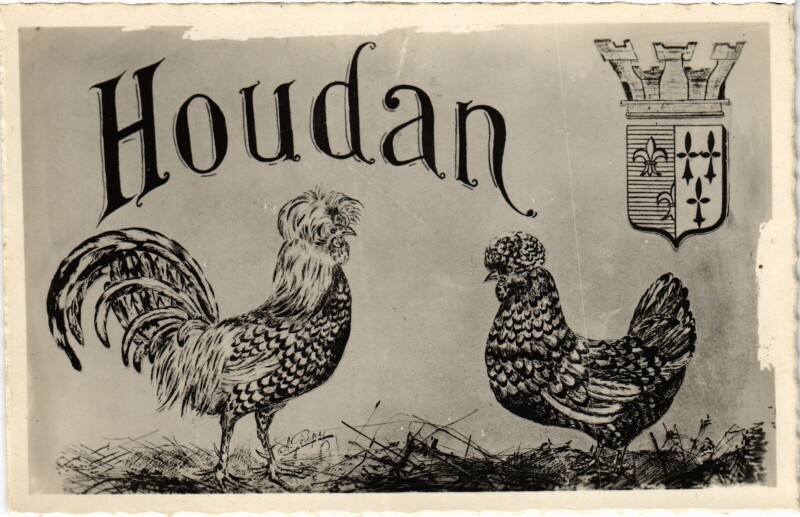 Carte postale ancienne Houdan Roosters - Crest à Houdan