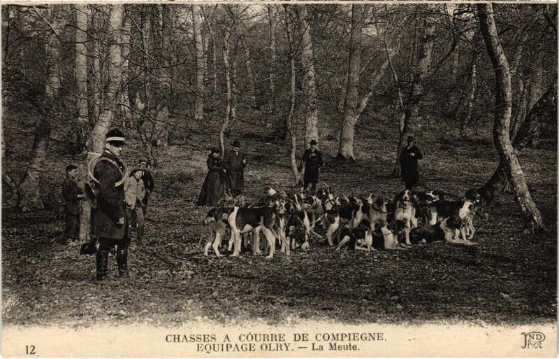 Carte postale ancienne Chasse de courre de Compiegne Equipage Orly La Meute