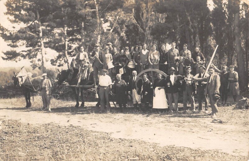 Carte postale ancienne Carte Photo - Alentours De Ginestas - Roubia - Paraza - cliché N°2 à Ginestas