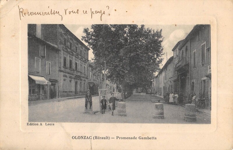 Carte postale ancienne Olonzac - Promenade Gambetta à Olonzac